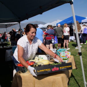 Local-Business-ShopFest