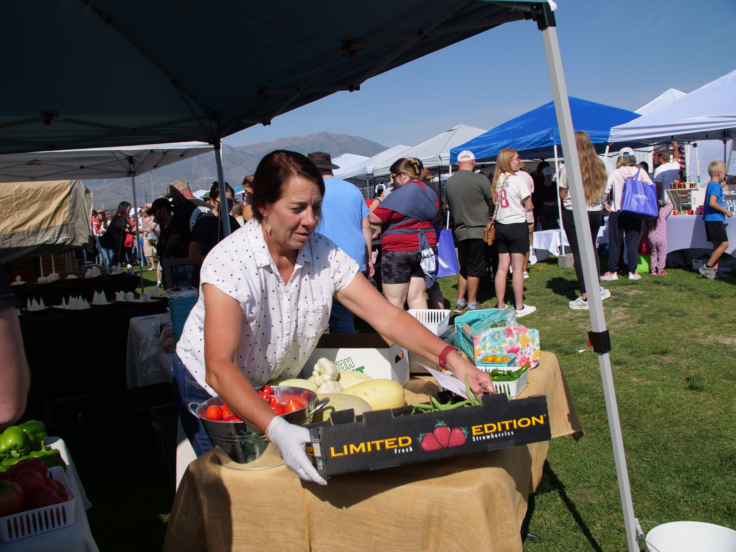 Local-Business-ShopFest