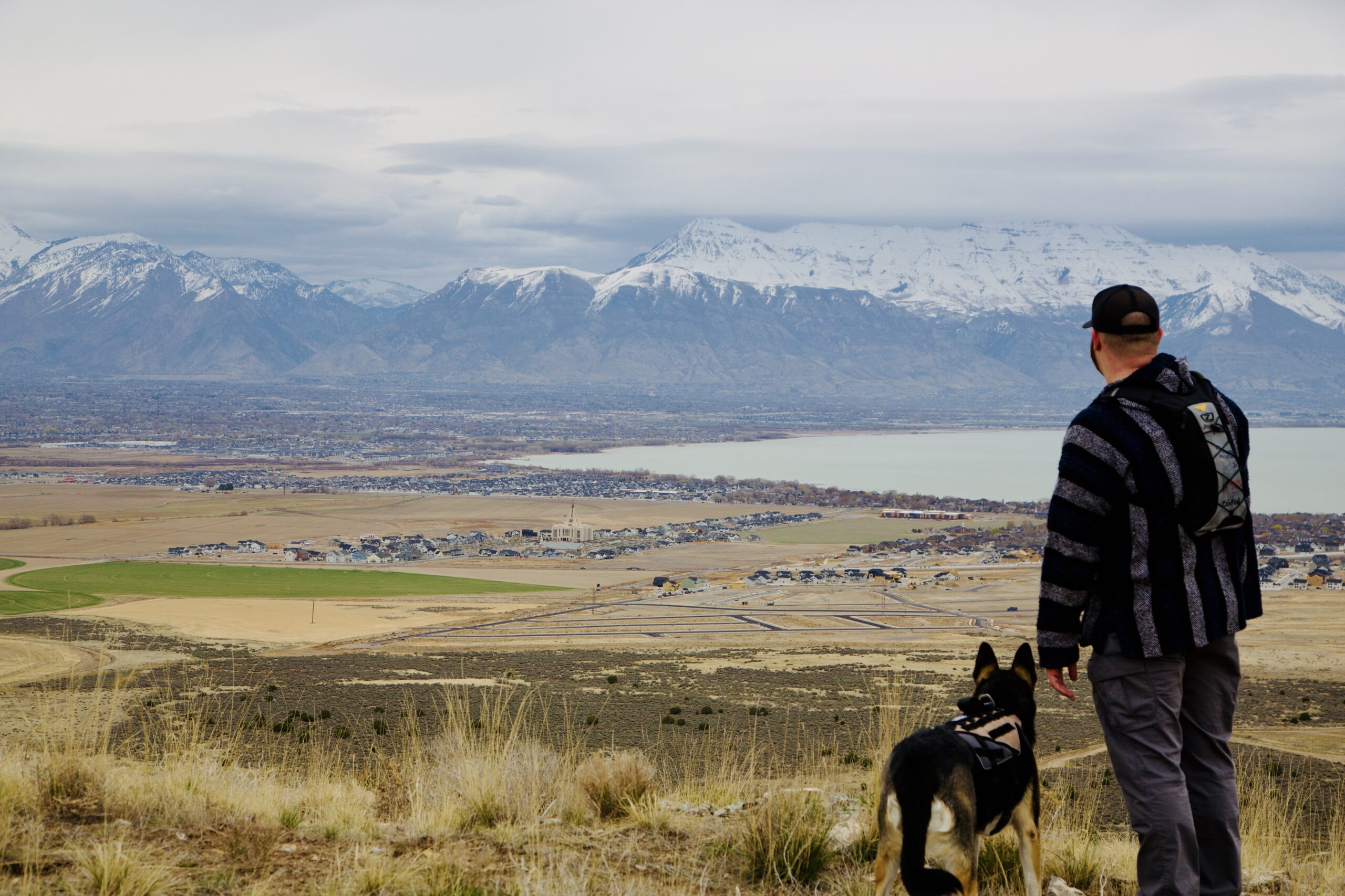 Dog-Hiker-Local