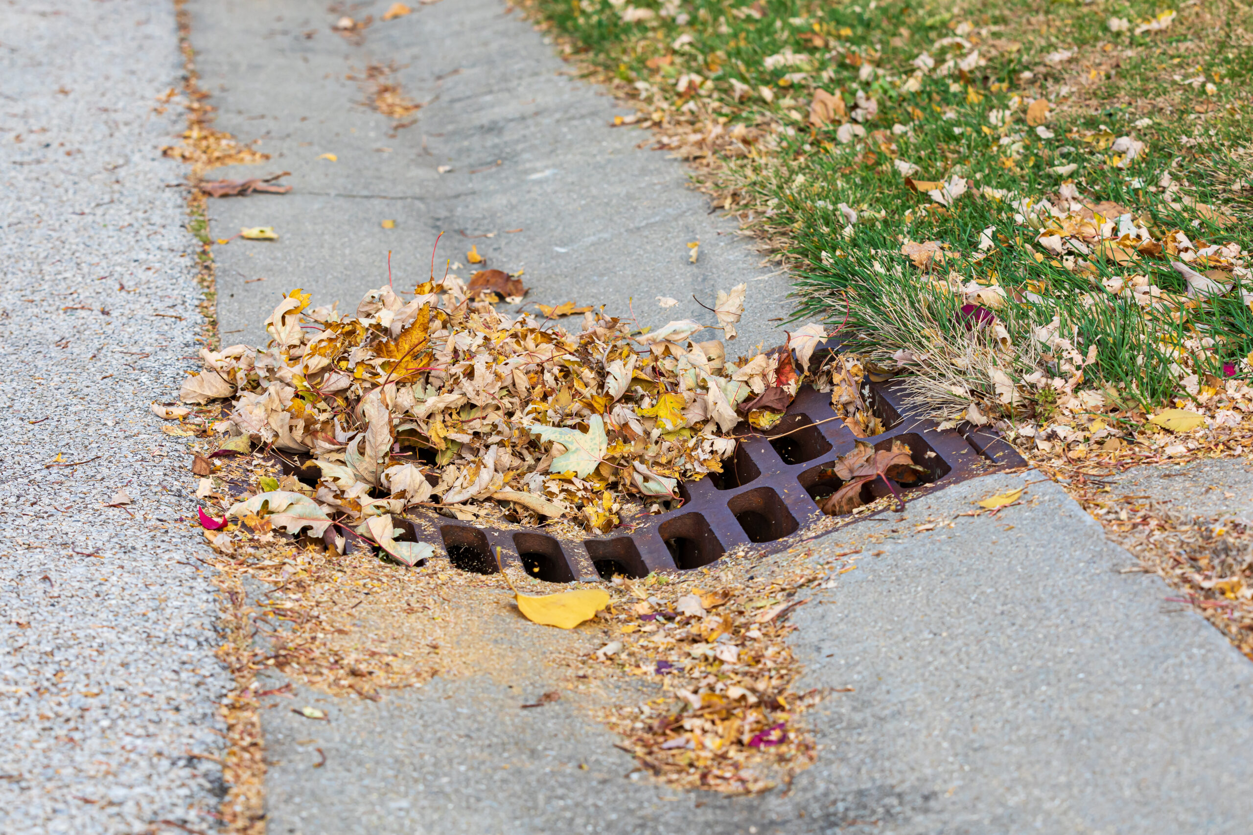 EM-Dry-Drain