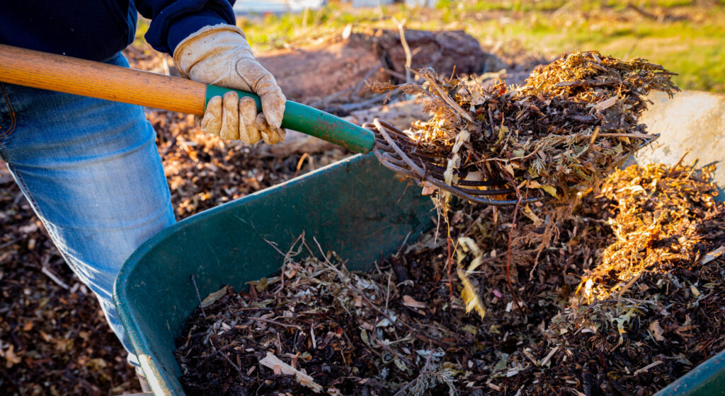 City-Forester-Winter-Tips