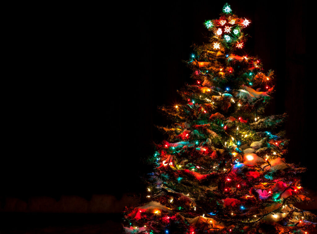 EM-Christmas-Tree