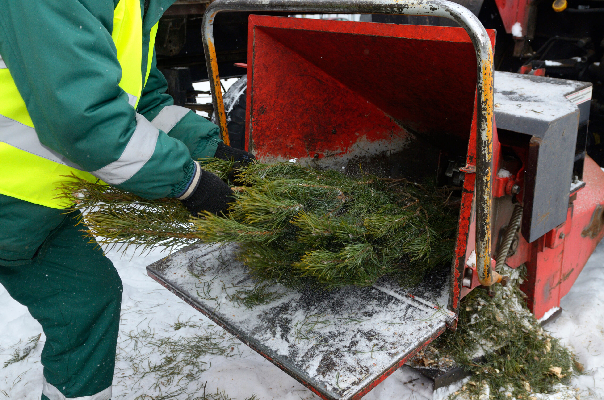 EM-Christmas-Tree-Drop