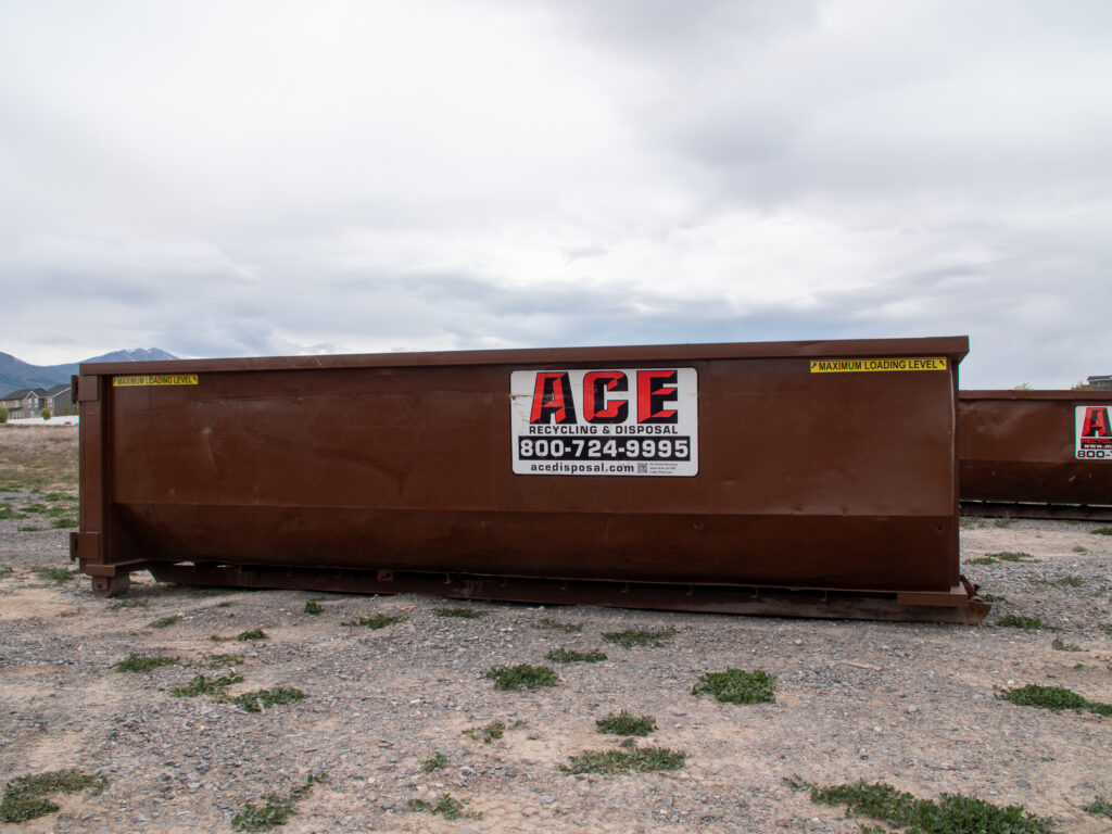 Ace-Brown-Dumpster