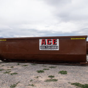 Ace-Brown-Dumpster