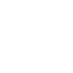 pony-express-days-white-icon