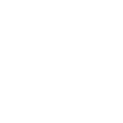 white-icon-filled-in-badge-police-officers