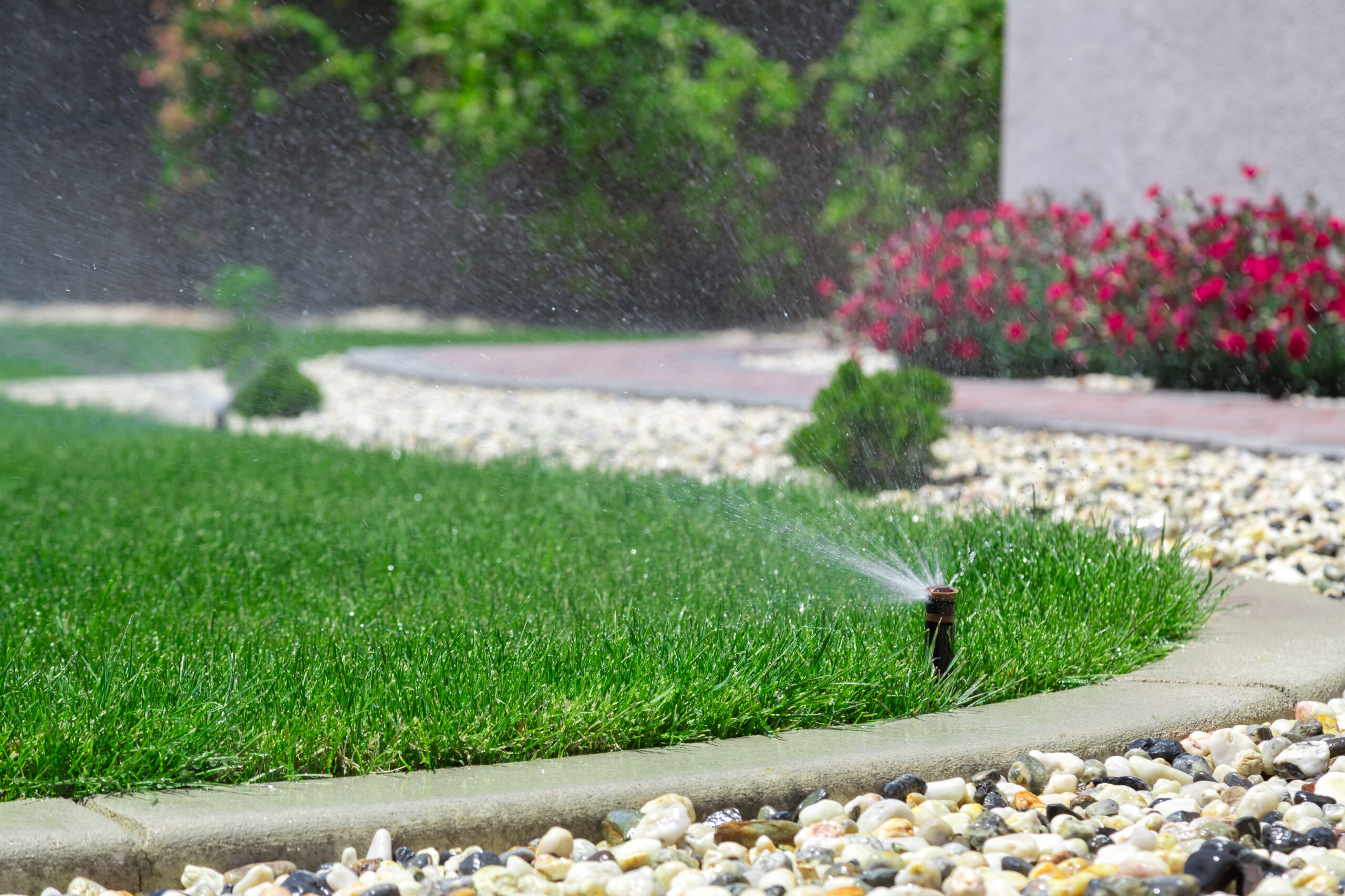 water-conservation-efforts-EMC